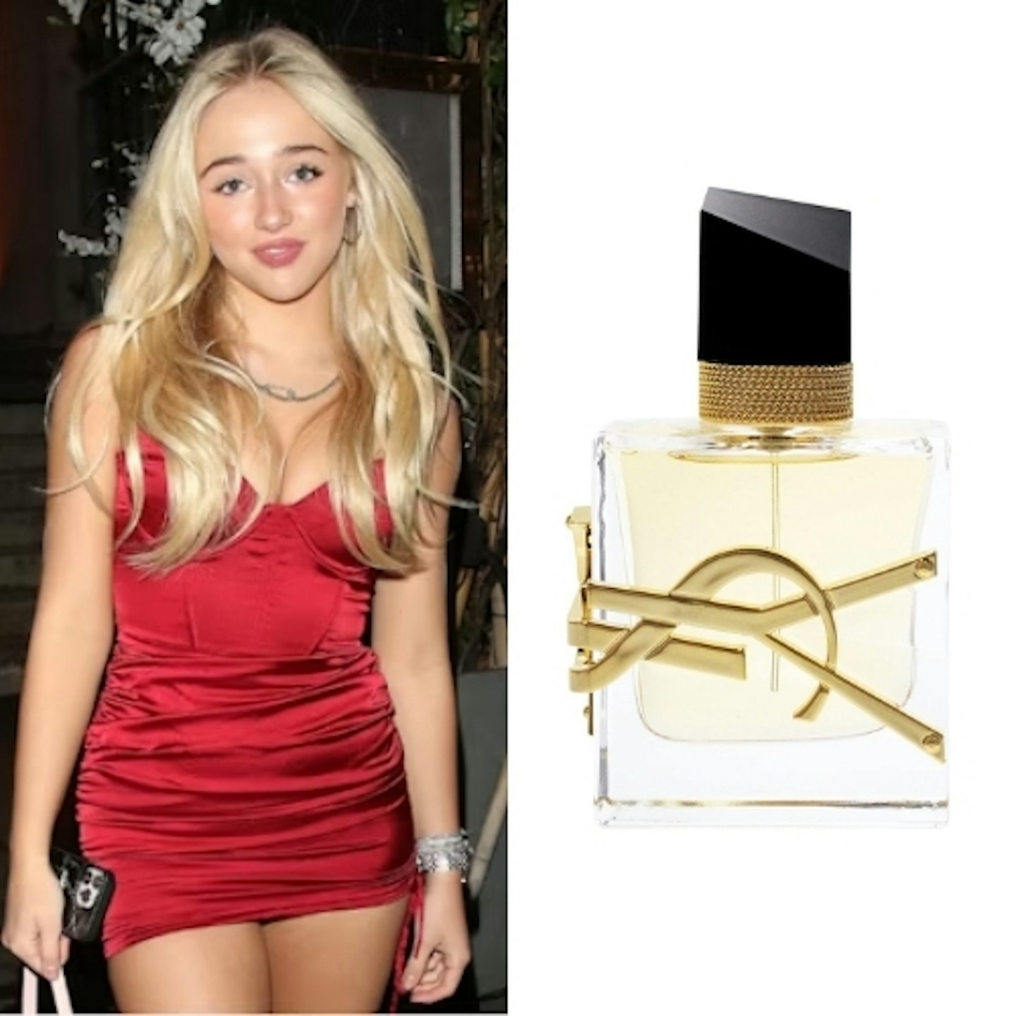 Ami Charlize - YSL Libre