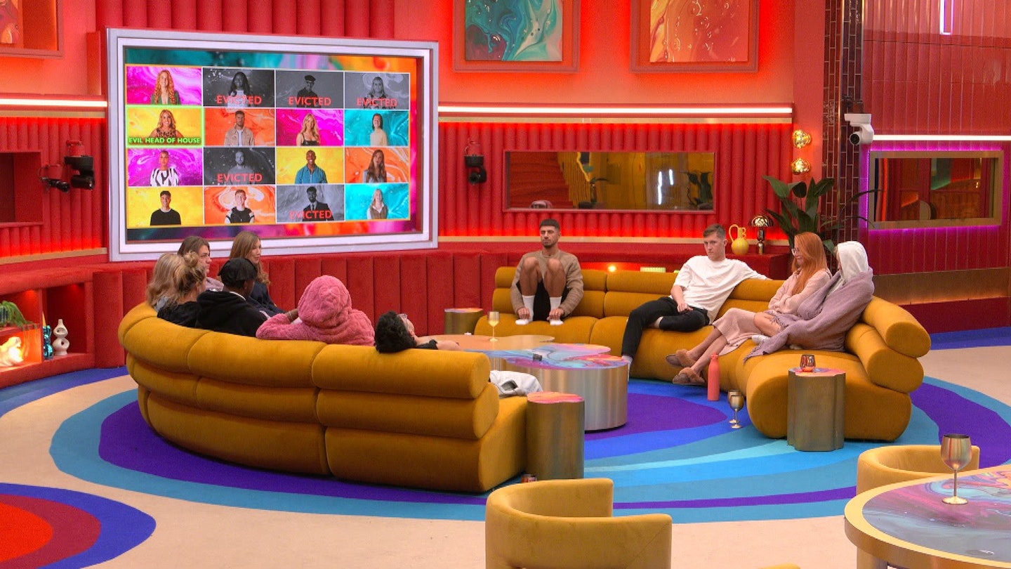 Big Brother housemates