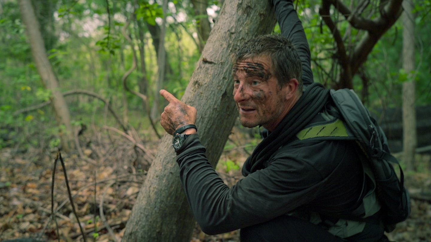 Bear Grylls