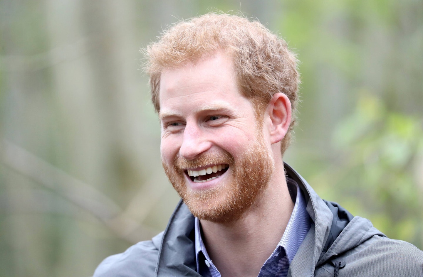 prince harry