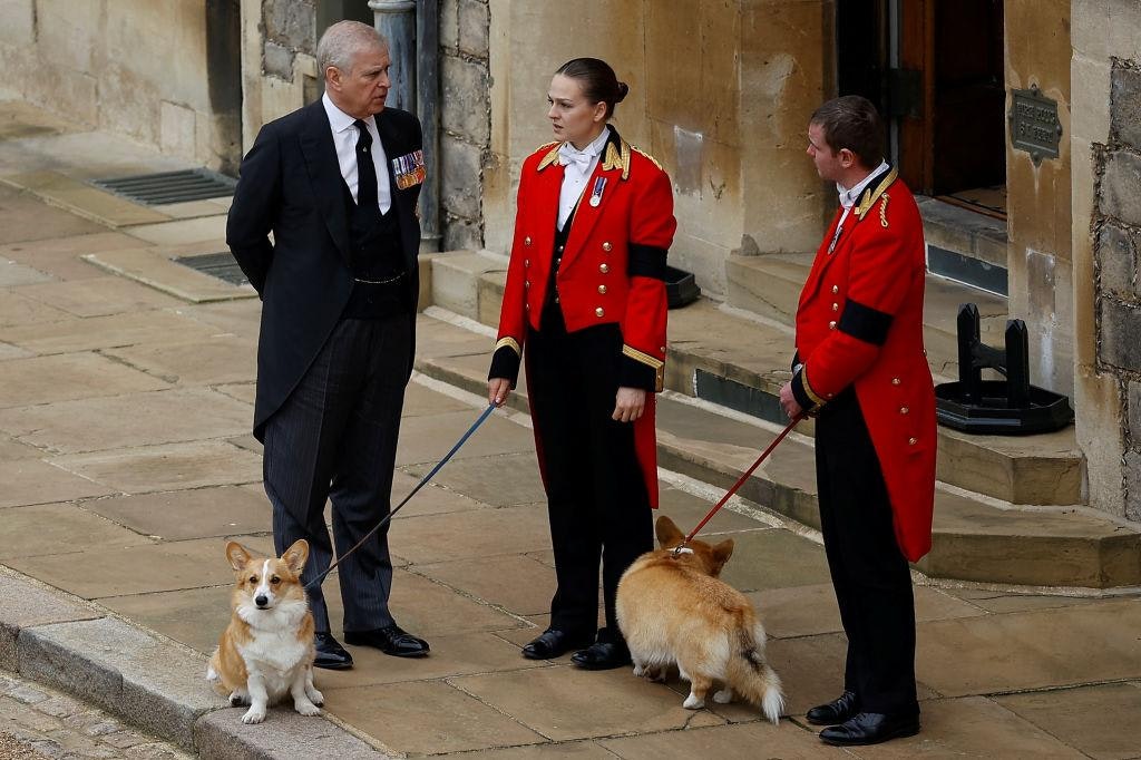 Prince Andrew with royal corgis as they await the cortege ahead of the Committal Service for Queen Elizabeth II held at St George