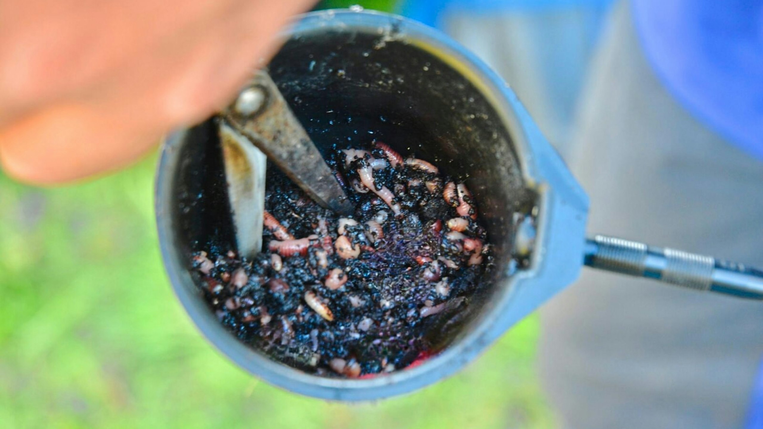 A cup of worms.