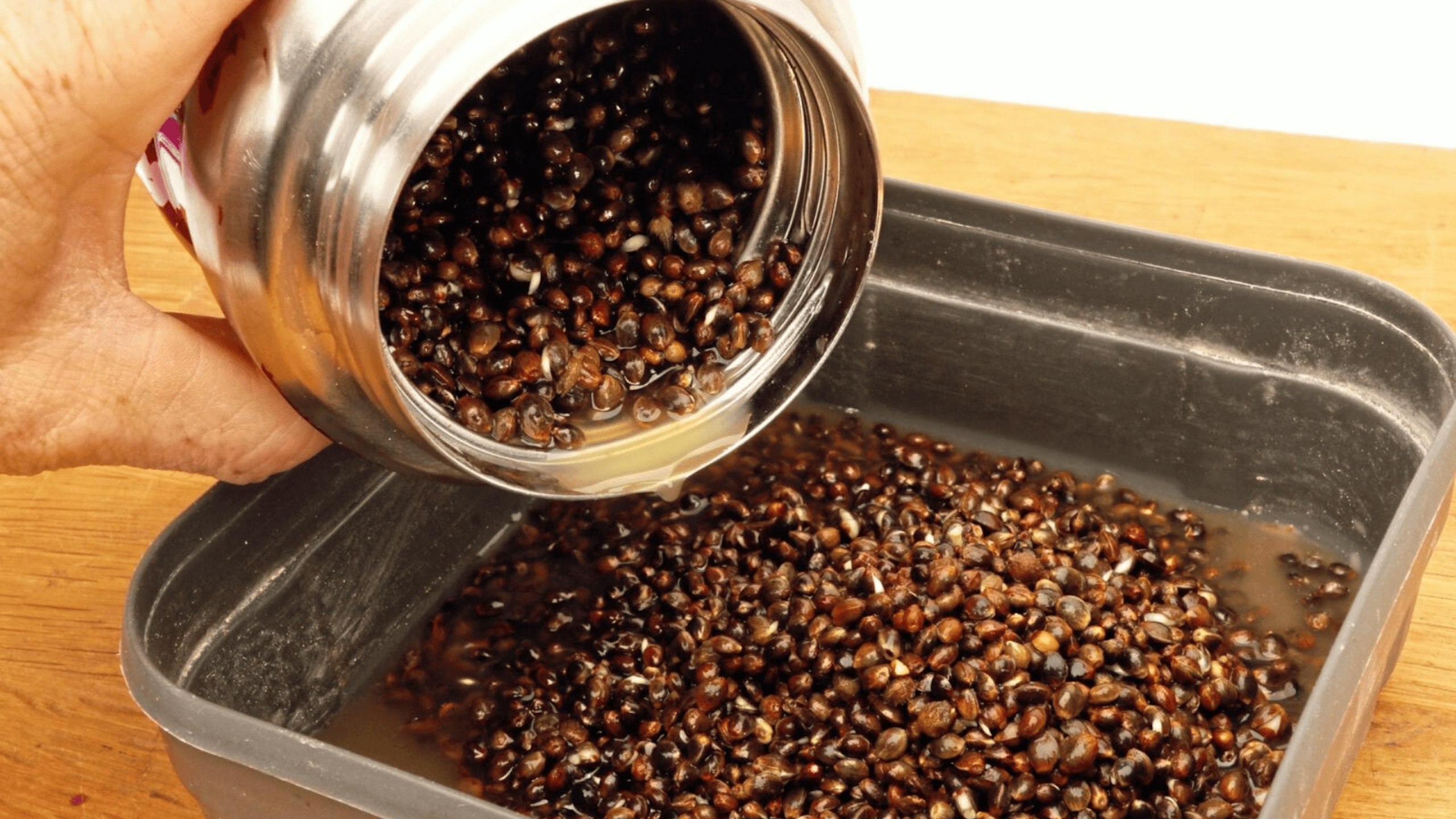 Hemp in bait tub