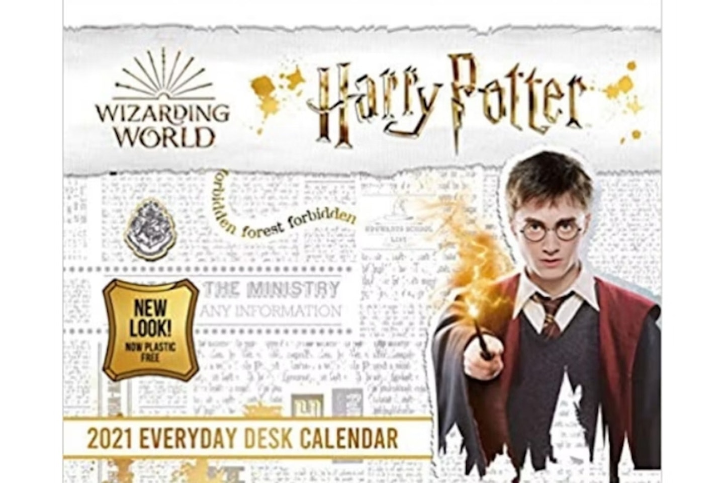 Official Harry Potter 2021 Desk Block