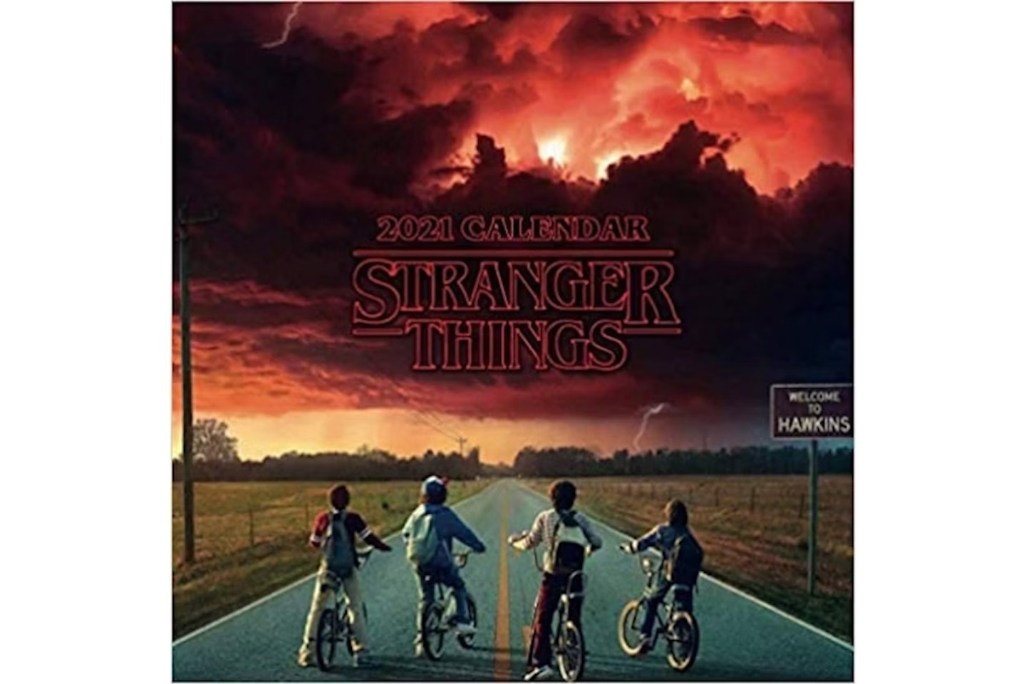 Stranger Things: 2021 Wall Calendar