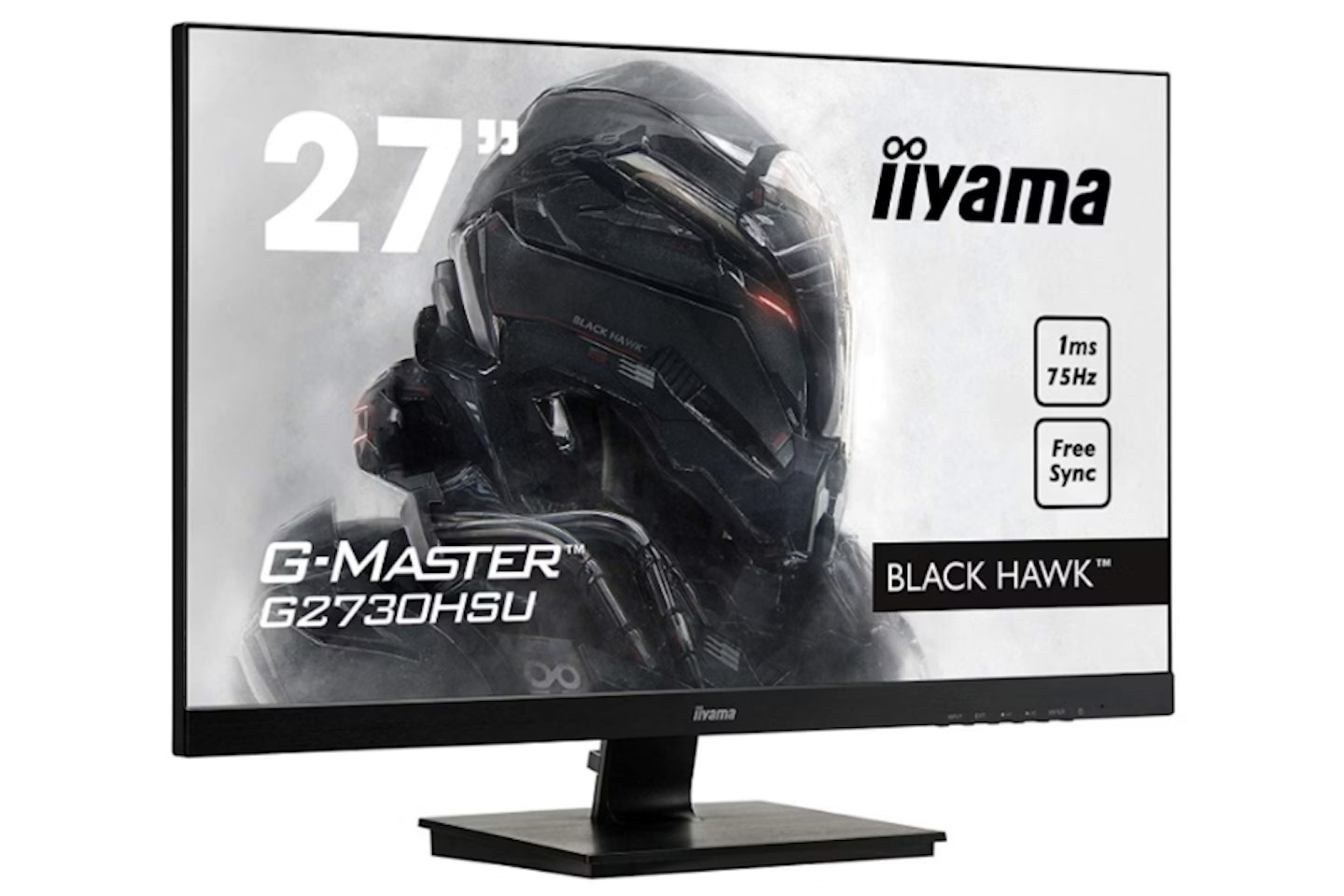 Iiyama GB2530HSU-B1 Gaming Monitor