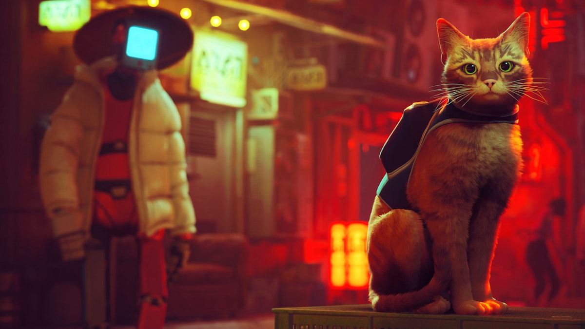 Stray Video Game Adaptation In The Works