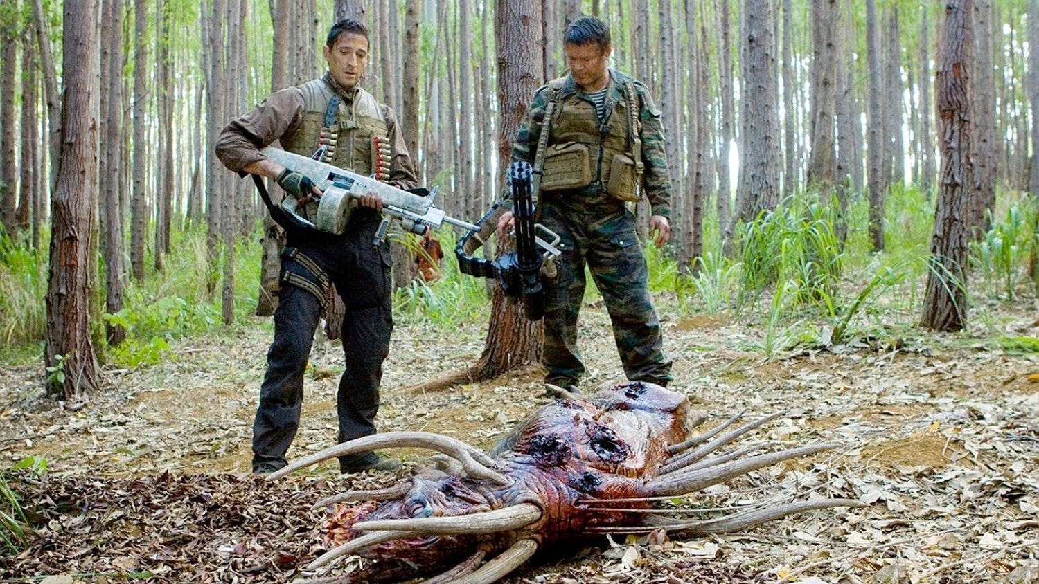 Predators