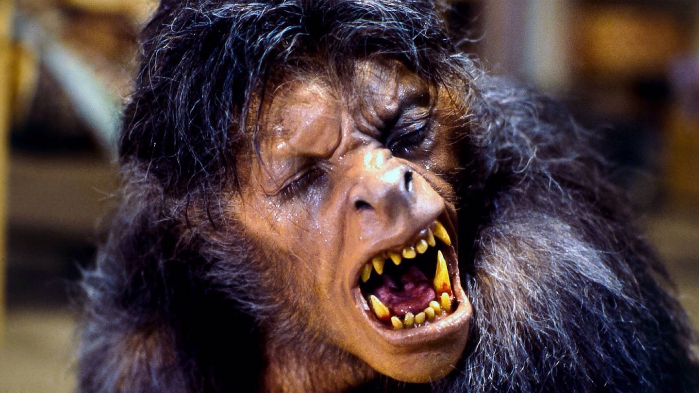 1440px x 810px - The 10 Best Werewolf Movies