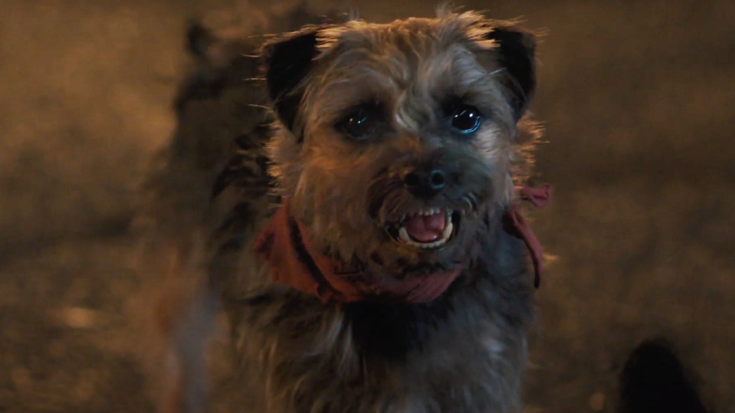 GAMES AND WE - Funny talking dog, Talking dog, Friends season