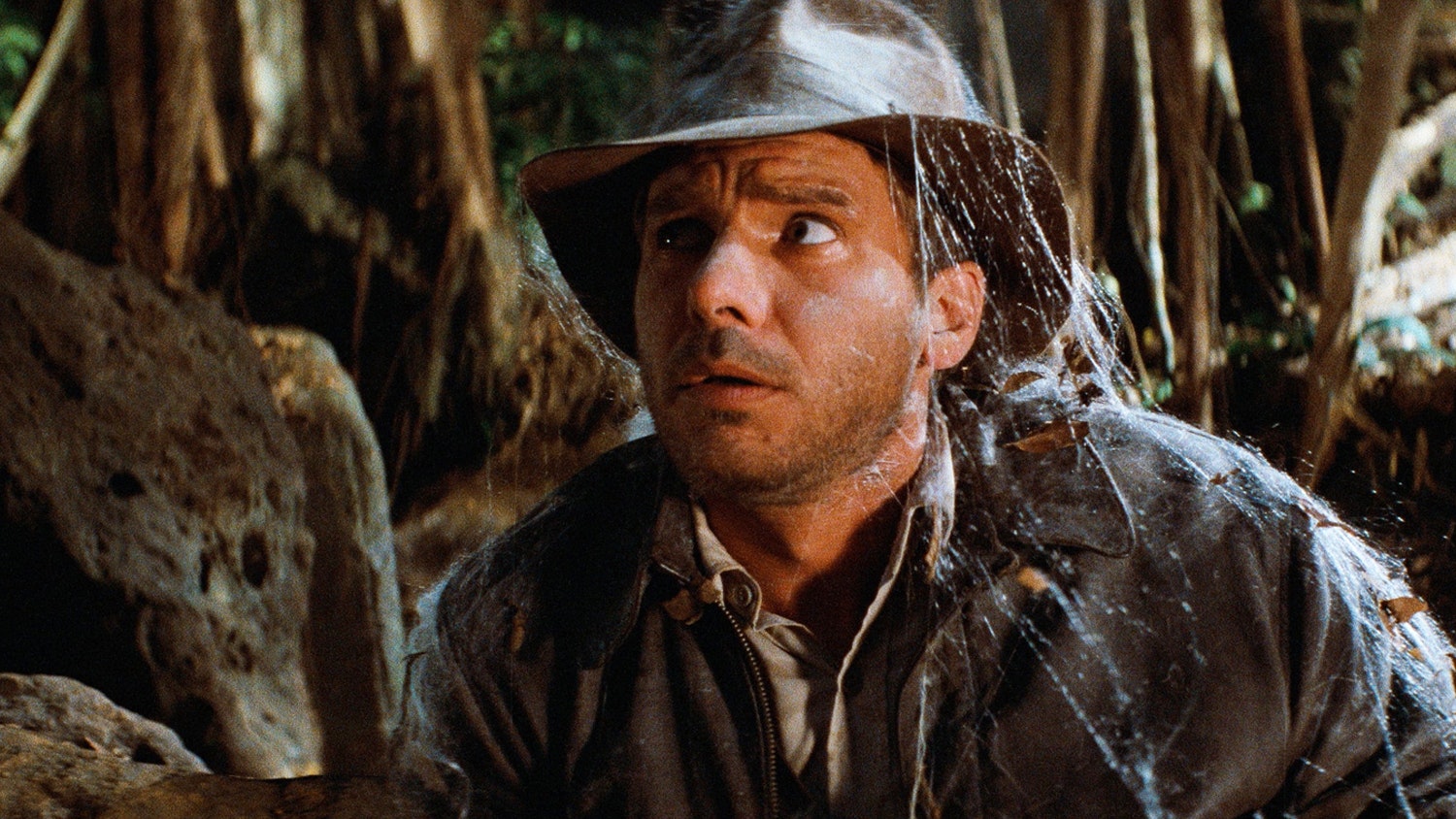 Harrison Ford Movies 2025