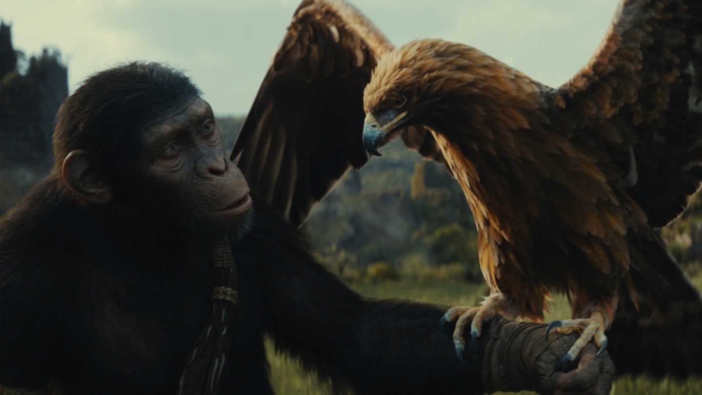Apes Rule The World In Kingdom Of The Of The Apes Trailer
