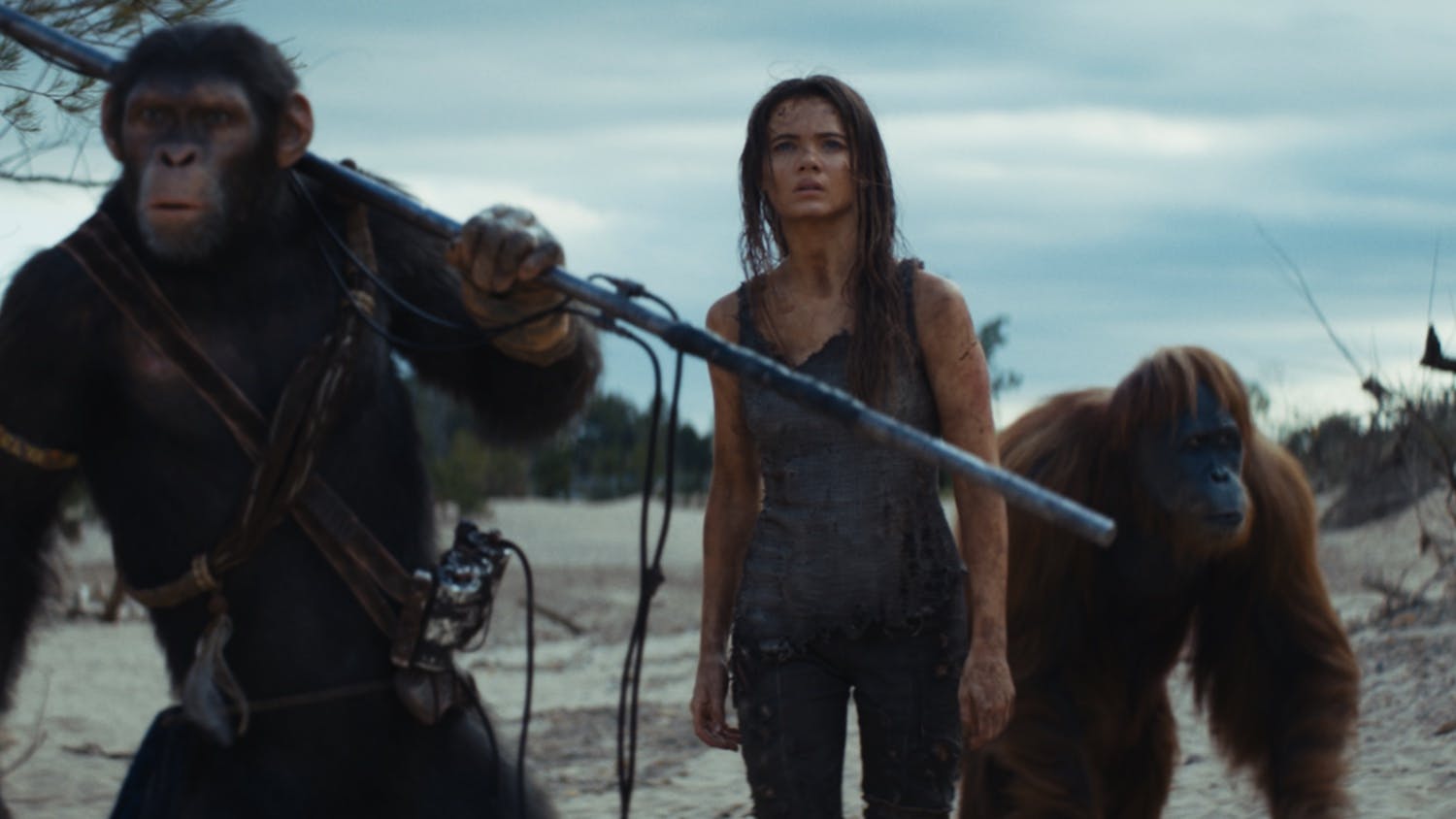 Apes (And Humans) Together Strong In The New Kingdom Of The Of