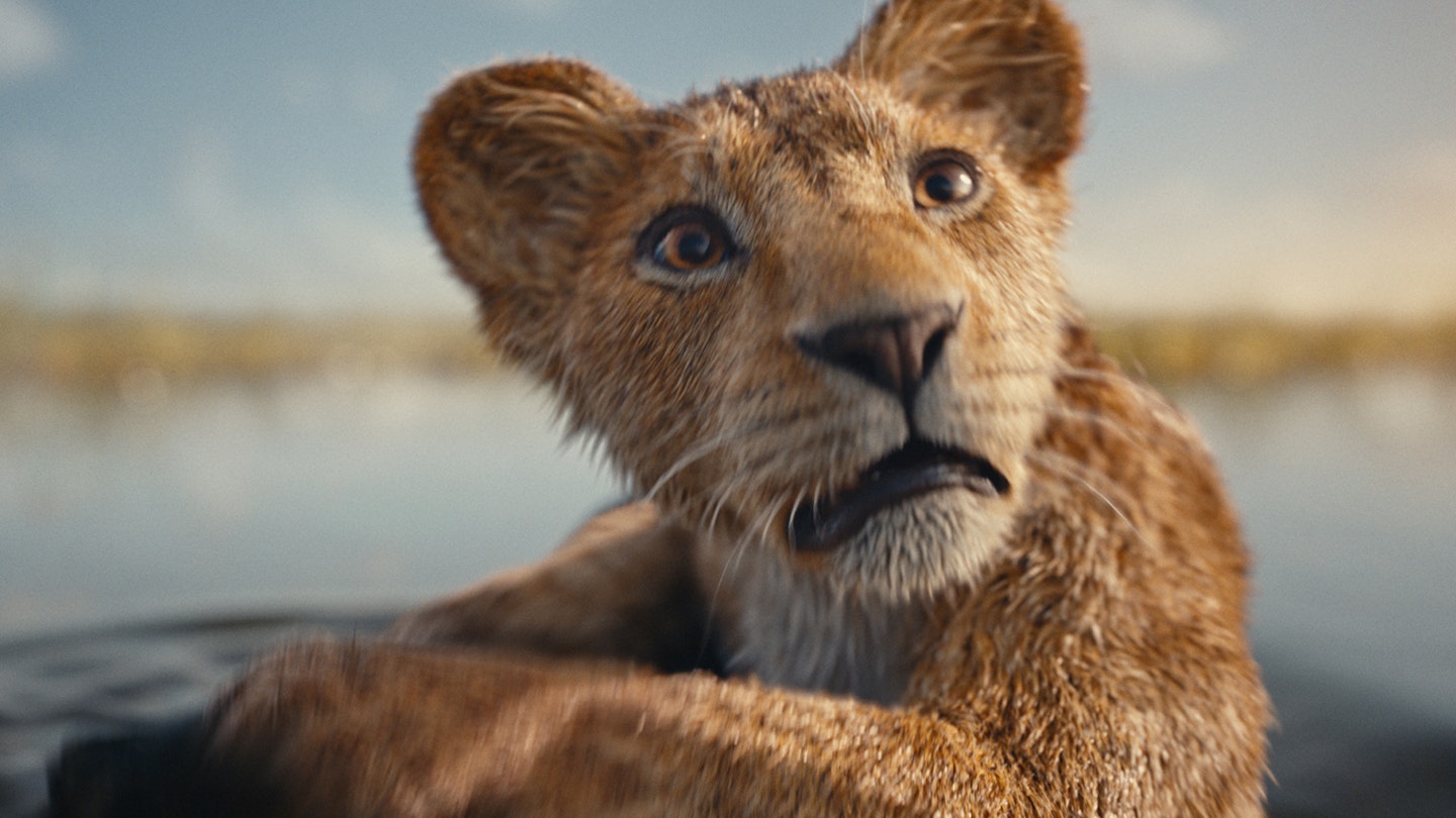 Mufasa 2025 Tv Tropes List Joey