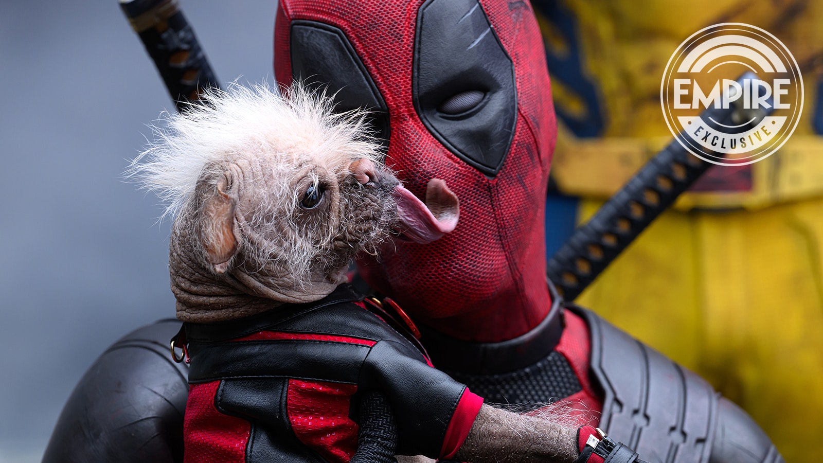 Deadpool Wolverine Cast Britain s Ugliest Dog As Dogpool It s deadpool-wolverine-cast-britain-s-ugliest-dog-as-dogpool-it-s