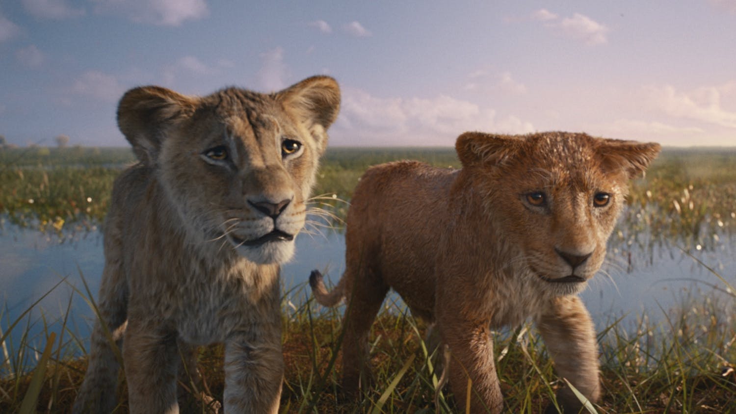 New lion king trailer online