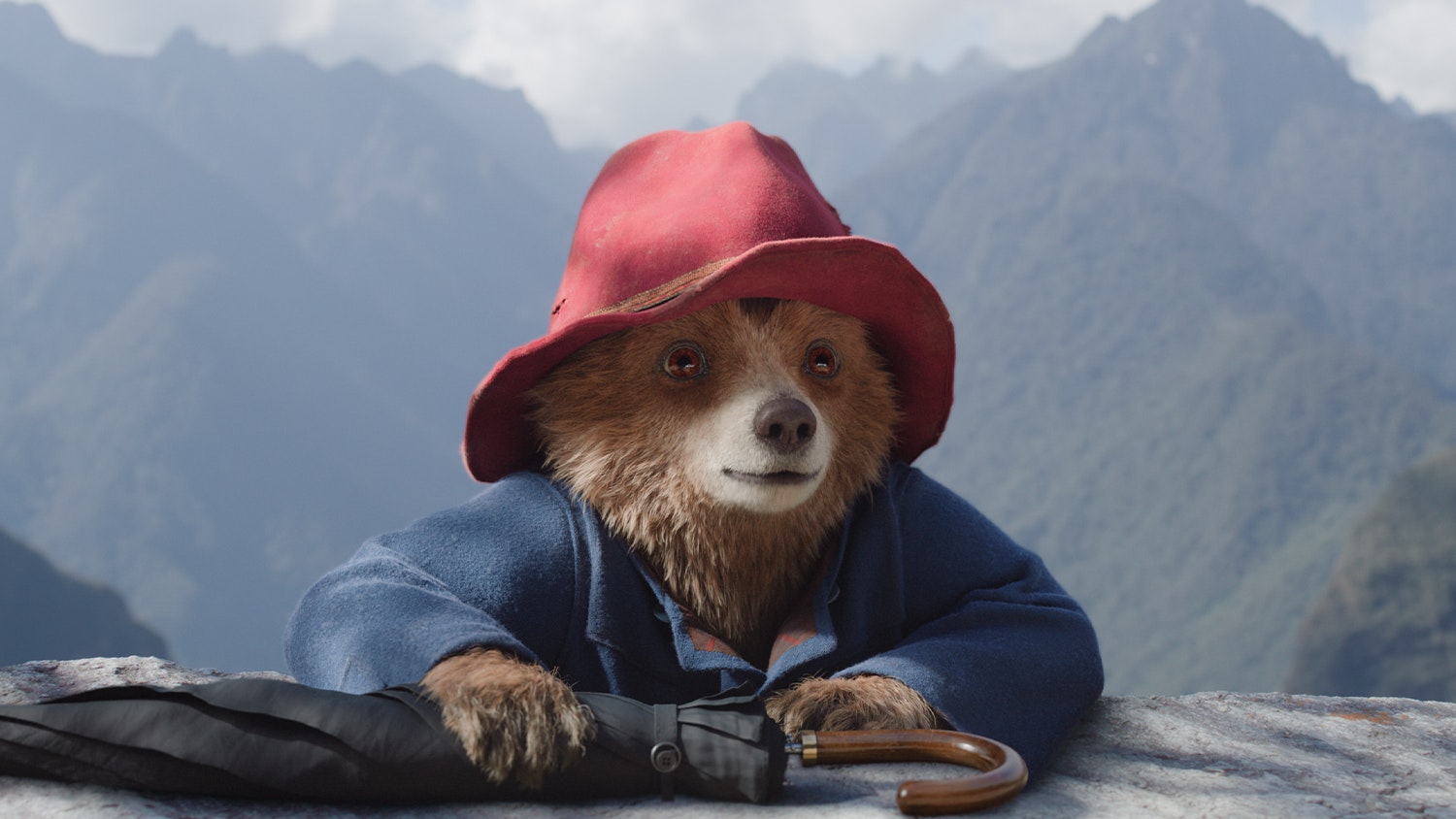 Paddington in Peru Receives Mixed Reviews