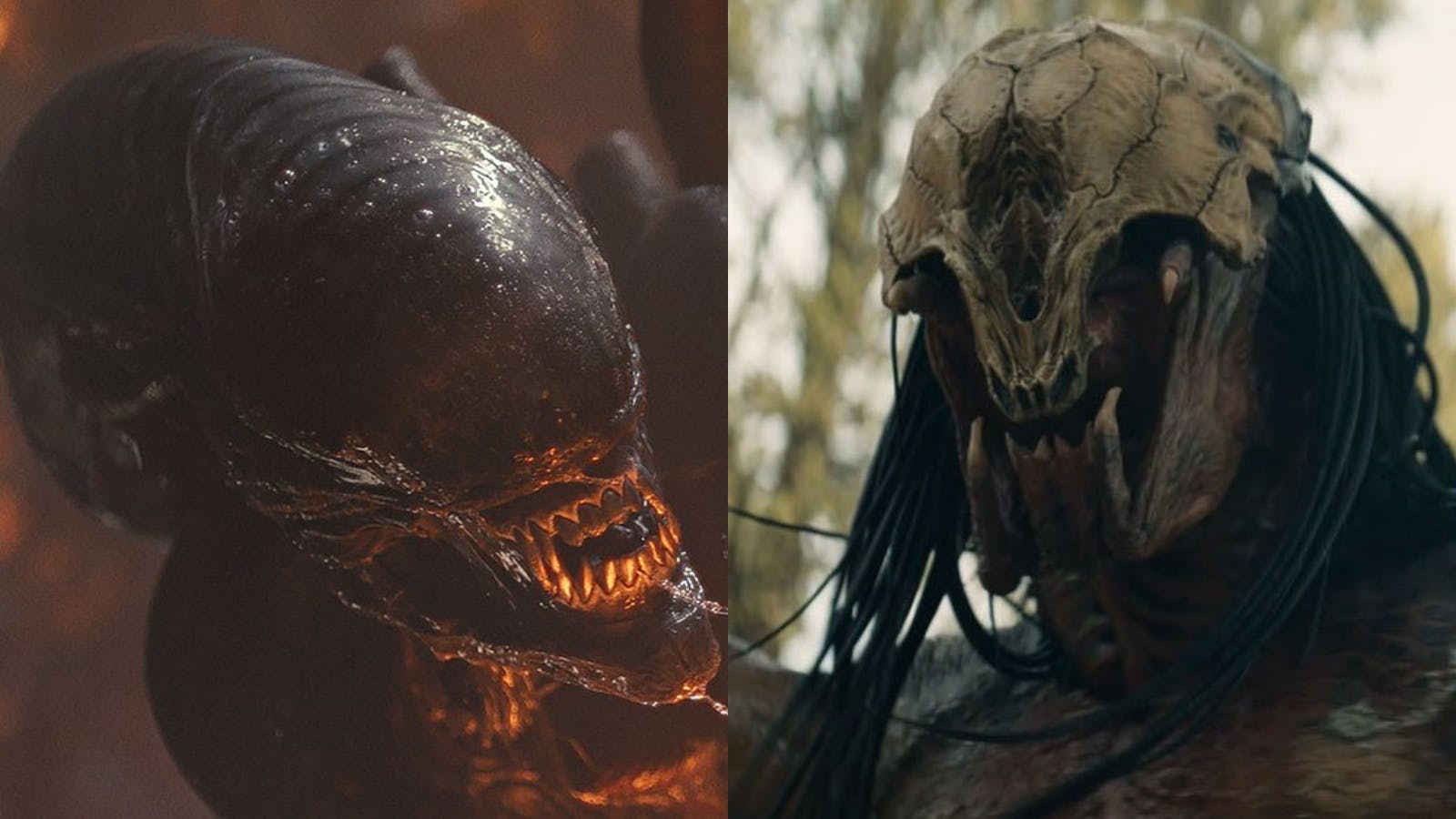 Alien: Romulus Sequel And 'Secret' New Predator Movie In The Works At 20th  Century Studios