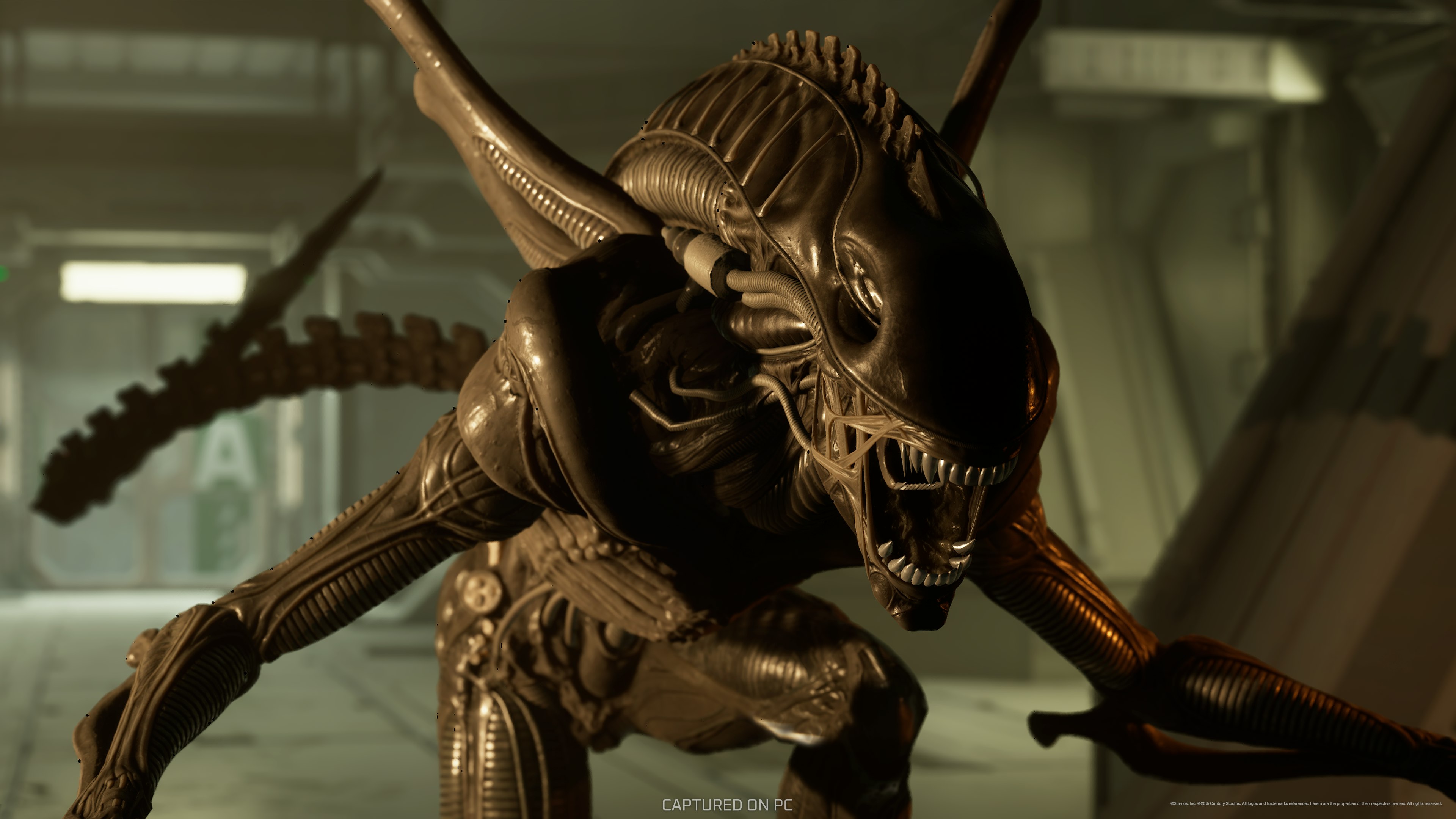 Alien: Rogue Incursion Review — 'terrifying, exhilarating and hugely atmospheric.'