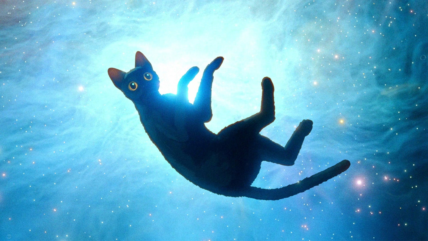 Flow Review – 'Mesmerising and wondrous'