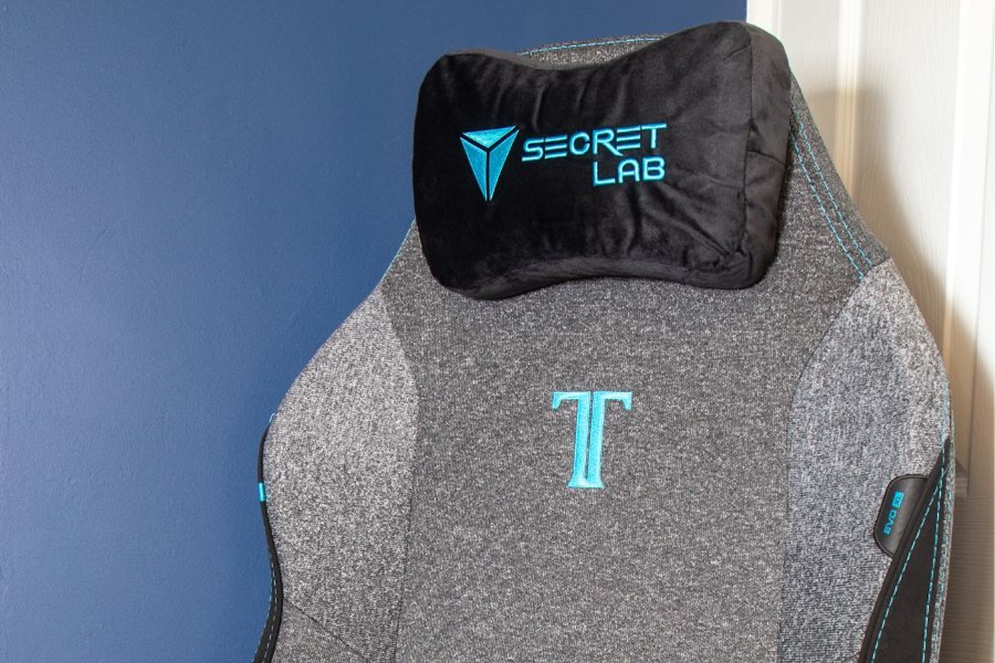 Secretlab TITAN Evo gaming chair backrest - one of the best gaming chairs of 2025