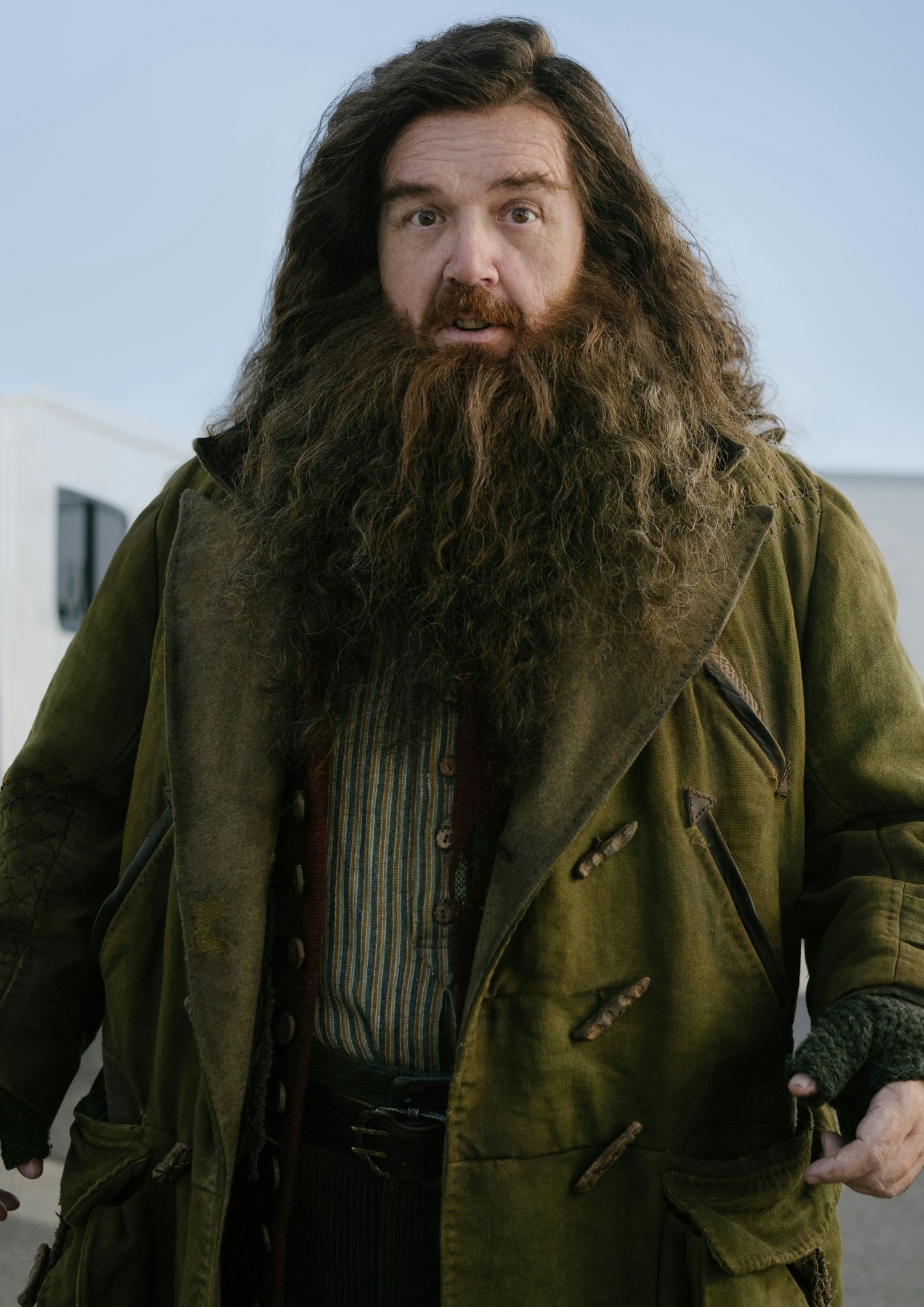 Hagrid – Nick Frost