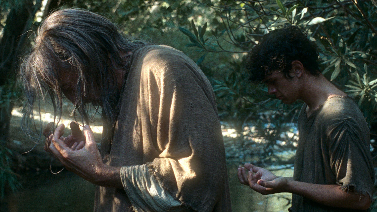 The Carpenter