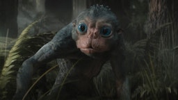 Predator: Badlands – Bud