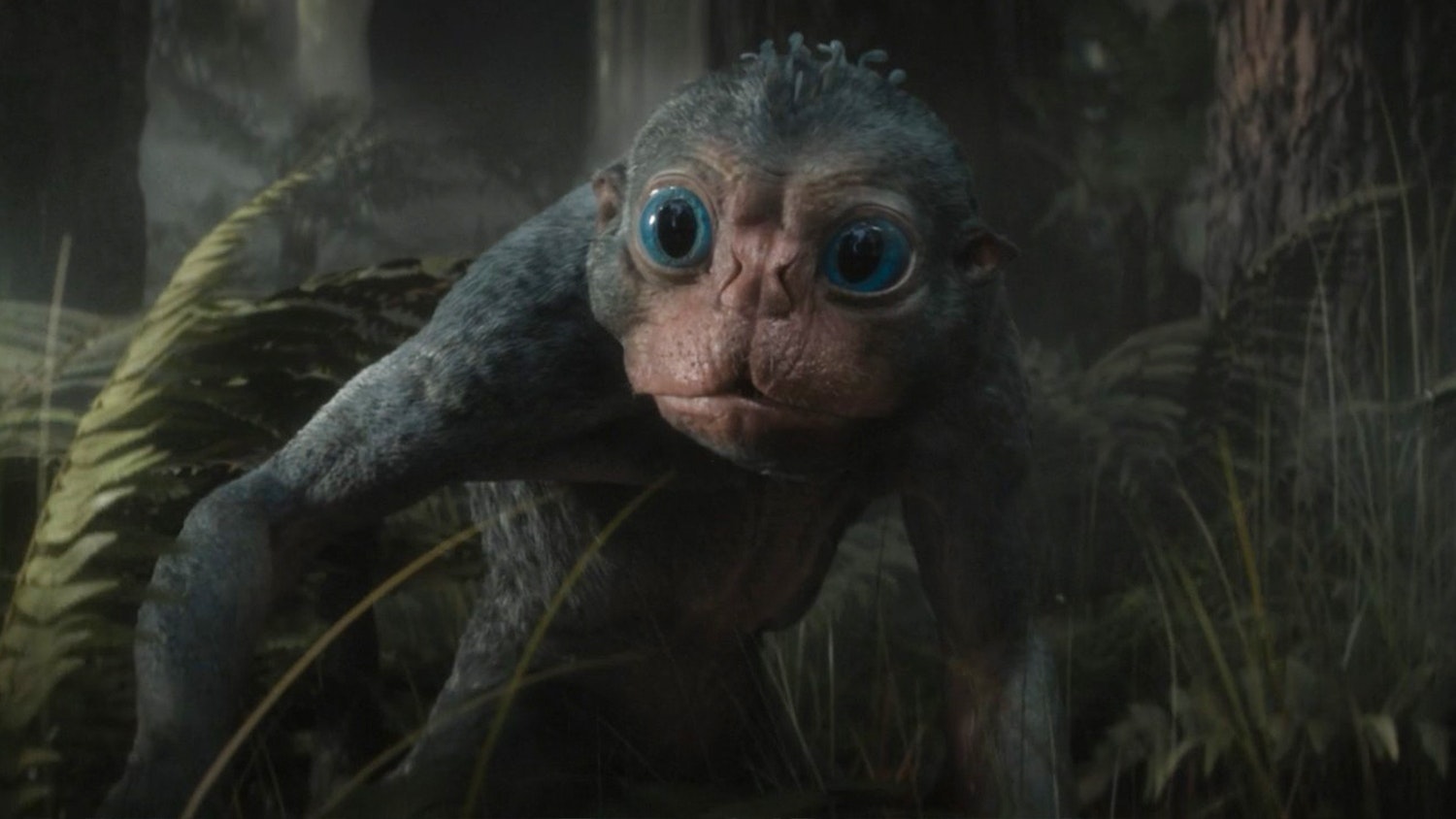 Predator: Badlands Director Was Wary Of Bud’s Reception: ‘My Editor Said, He Sounds Like Jar Jar’