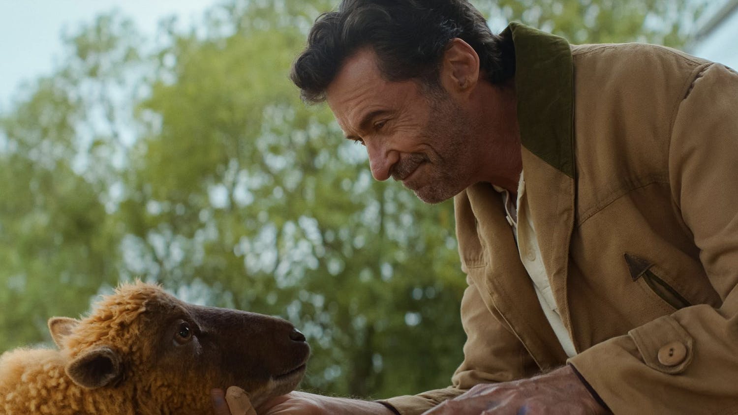 Review The Sheep Detectives: Misteri Pembunuhan Gembala yang Menggemaskan