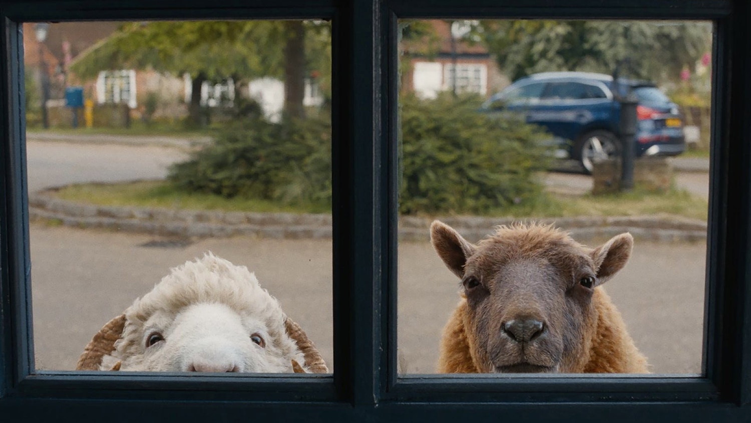 The Sheep Detectives