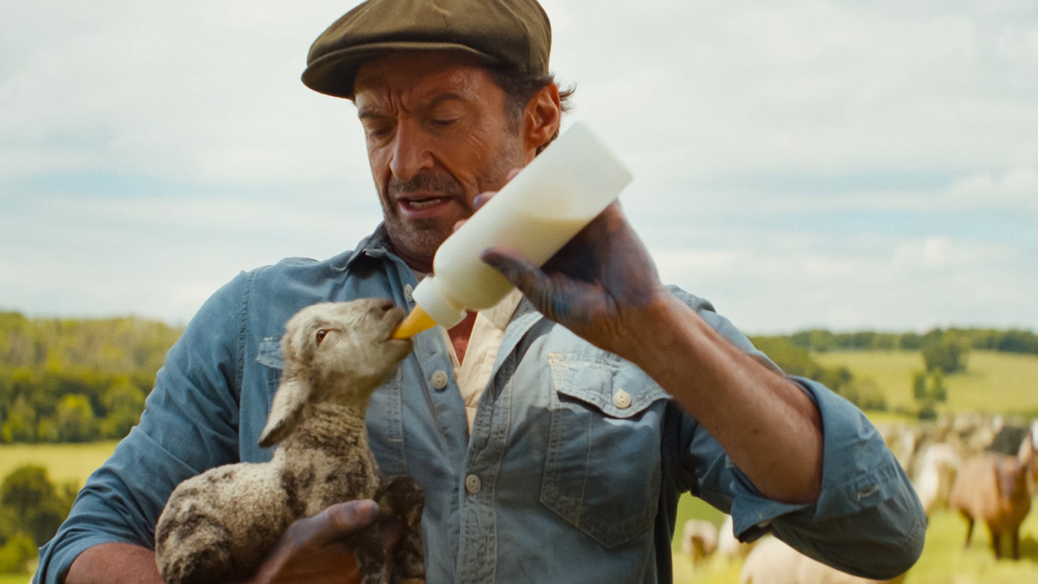 The Sheep Detectives Hooked Hugh Jackman With Its ‘Knives Out Meets Babe’ Premise