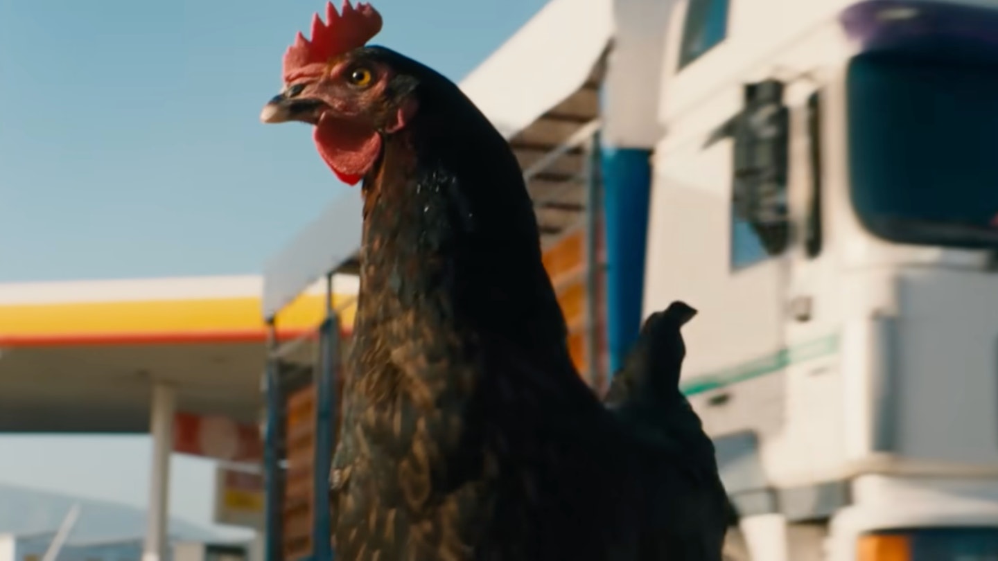 Hen