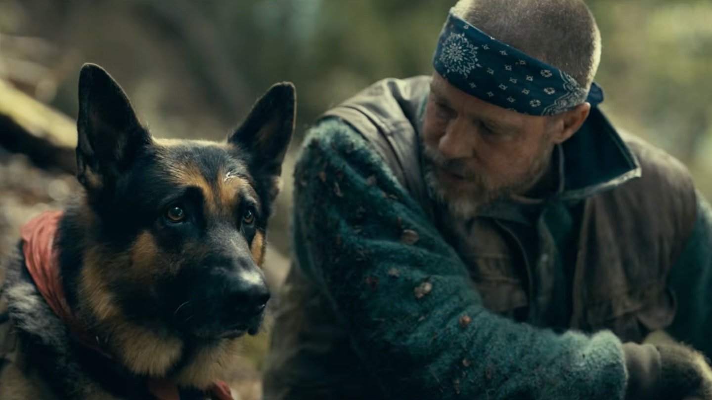 Brad Pitt goes geriaction hero mode in David Ayer survival thriller — watch the trailer
