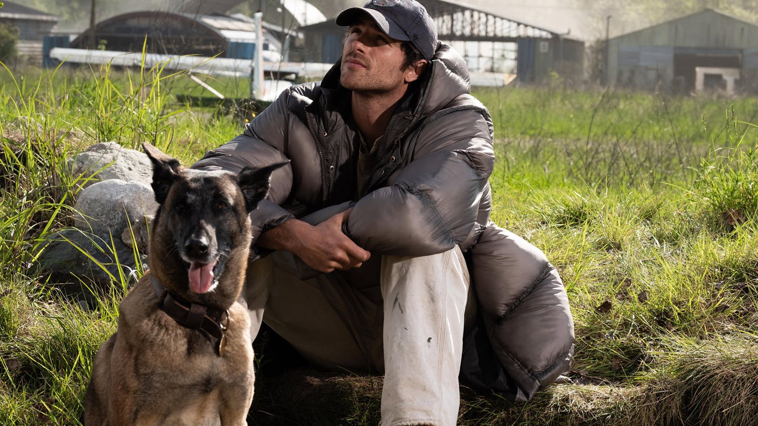 The Dog Stars Review – 'Too downbeat to really stick'