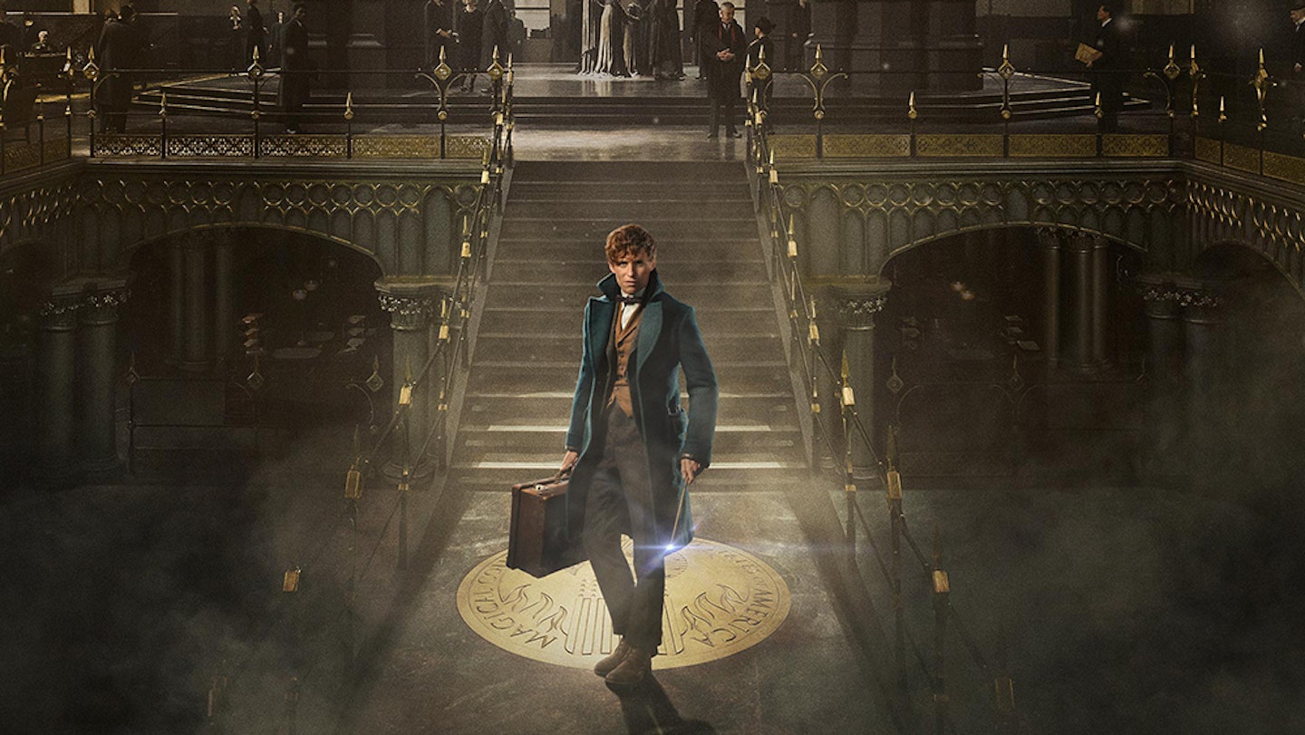 Fantastic Beasts and Where to Find Them (Film) - TV Tropes