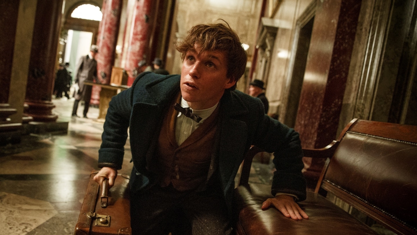 Eddie Redmayne in Fantastic Beasts And Where To Find Them