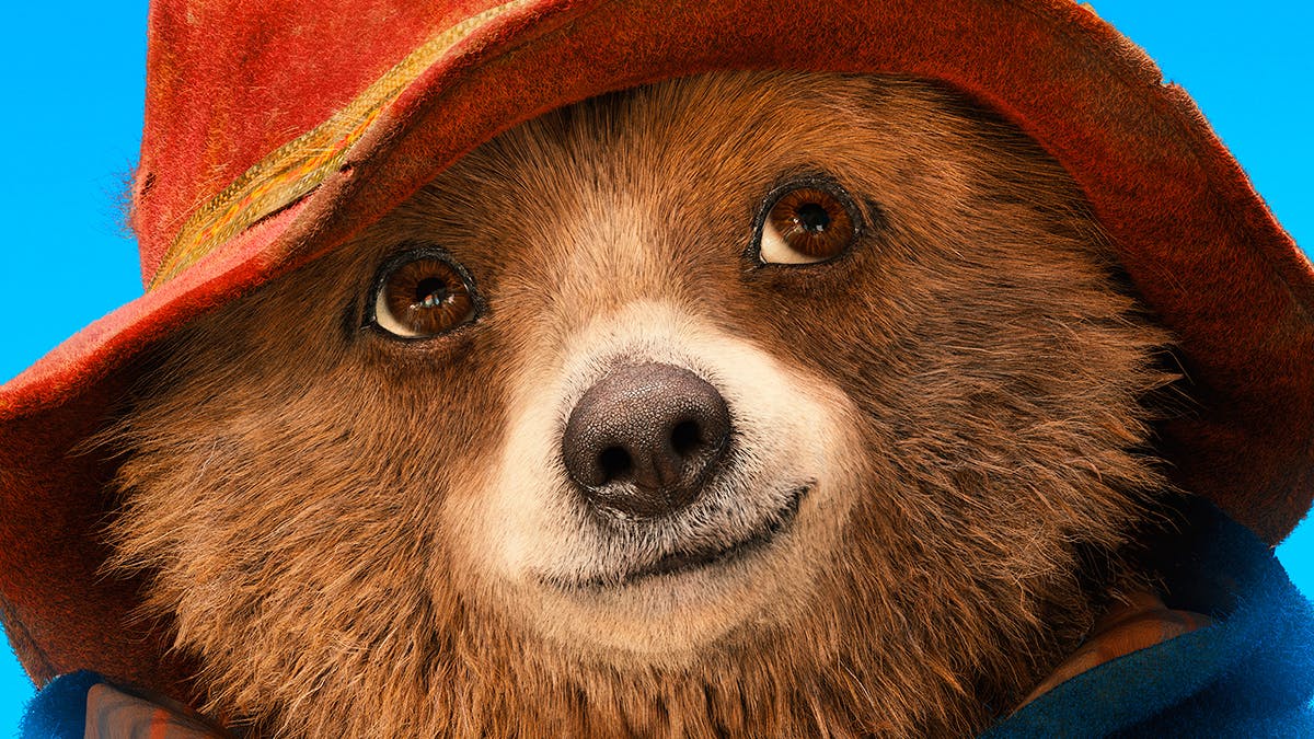 Paddington 2 starts shooting with Hugh Grant and Brendan Gleeson aboard