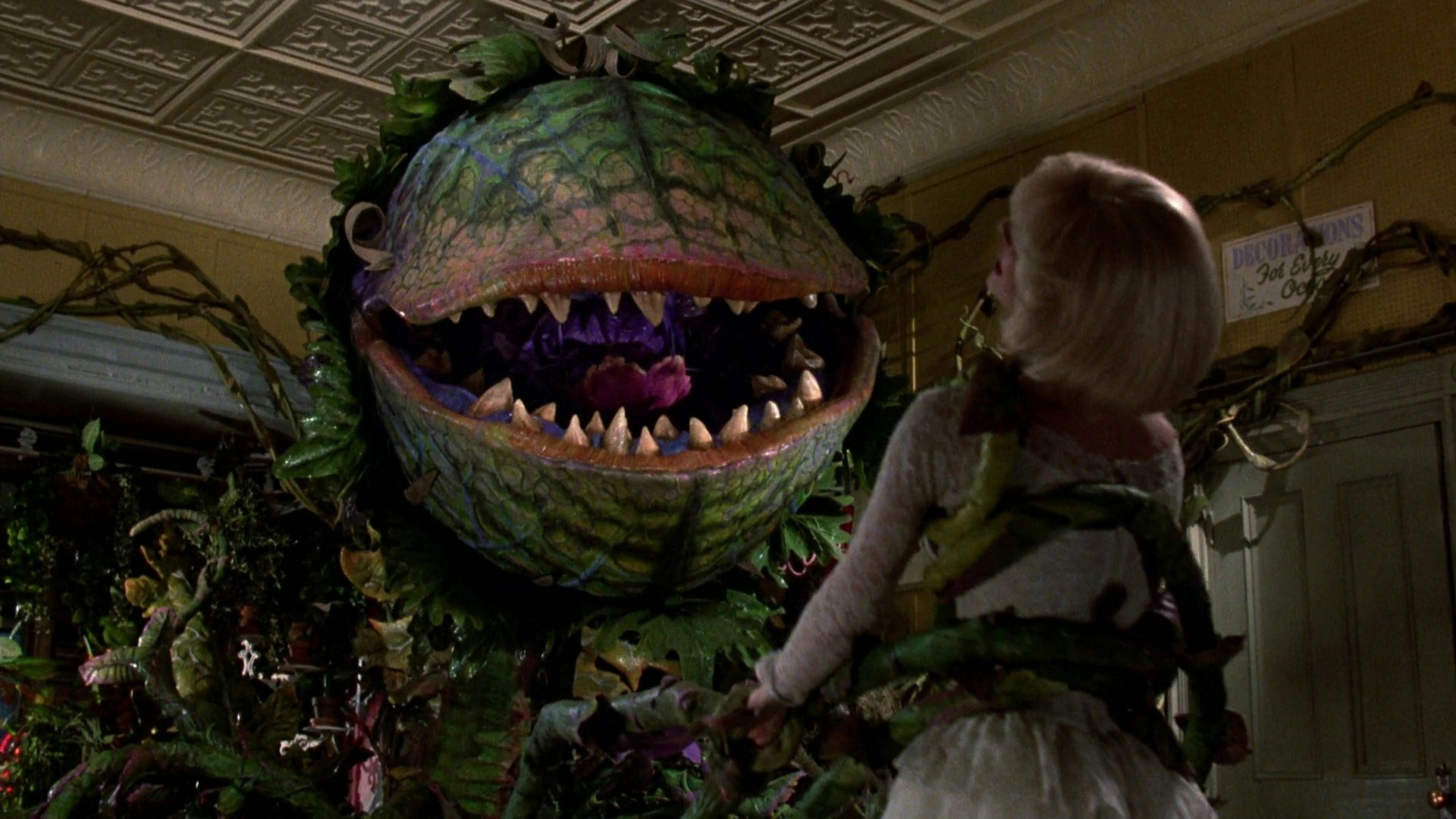 A new take on Little Shop Of Horrors is in the works Movies
