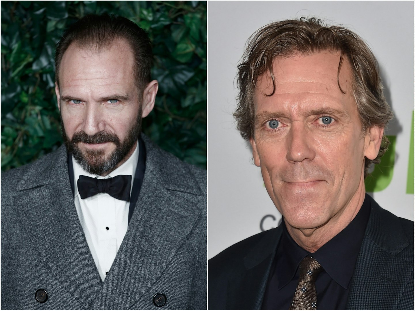 Ralph Fiennes and Hugh Laurie