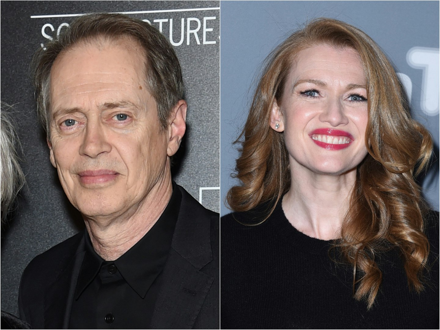 Steve Buscemi and Mireille Enos