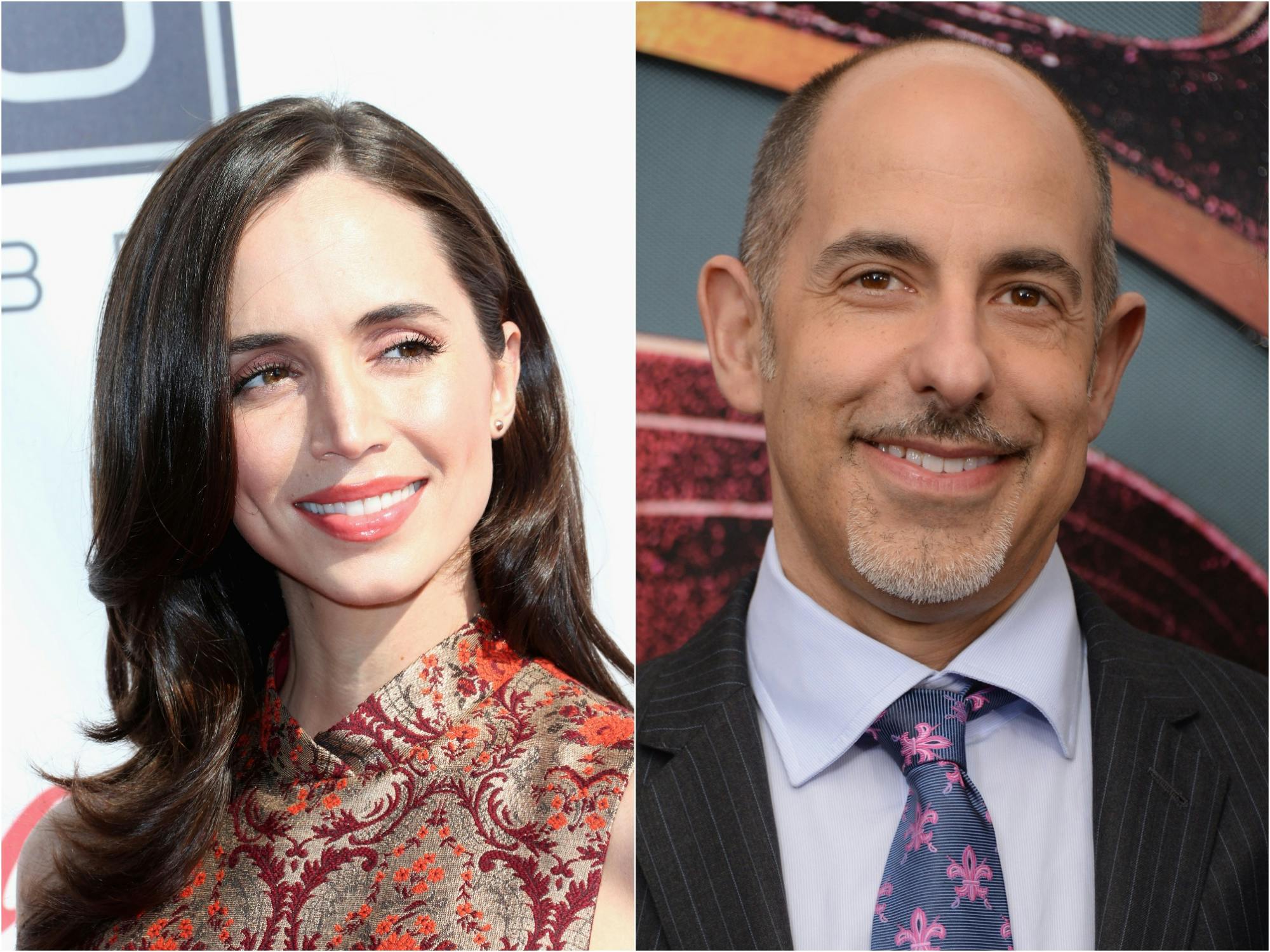 Eliza Dushku and David S. Goyer Team For Black Company TV Series