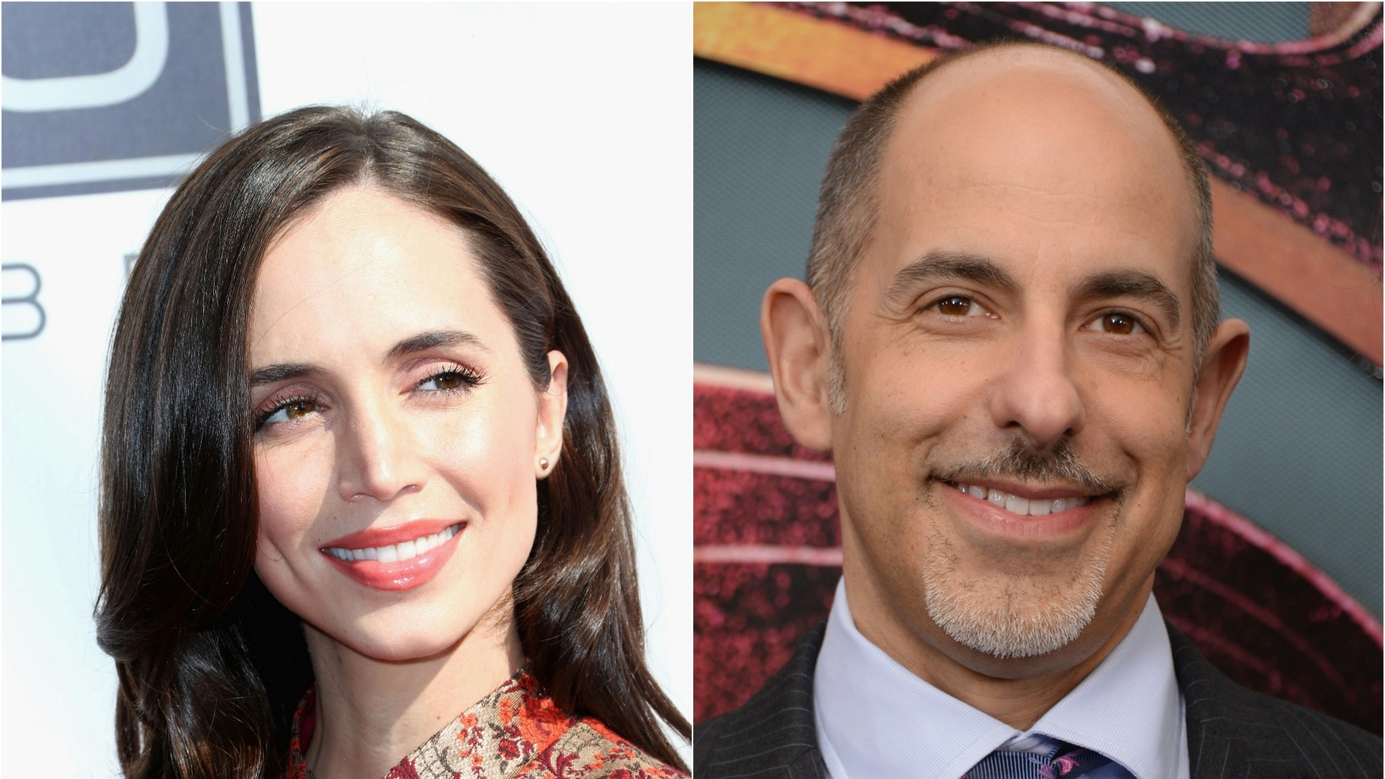 Eliza Dushku and David S. Goyer Team For Black Company TV Series