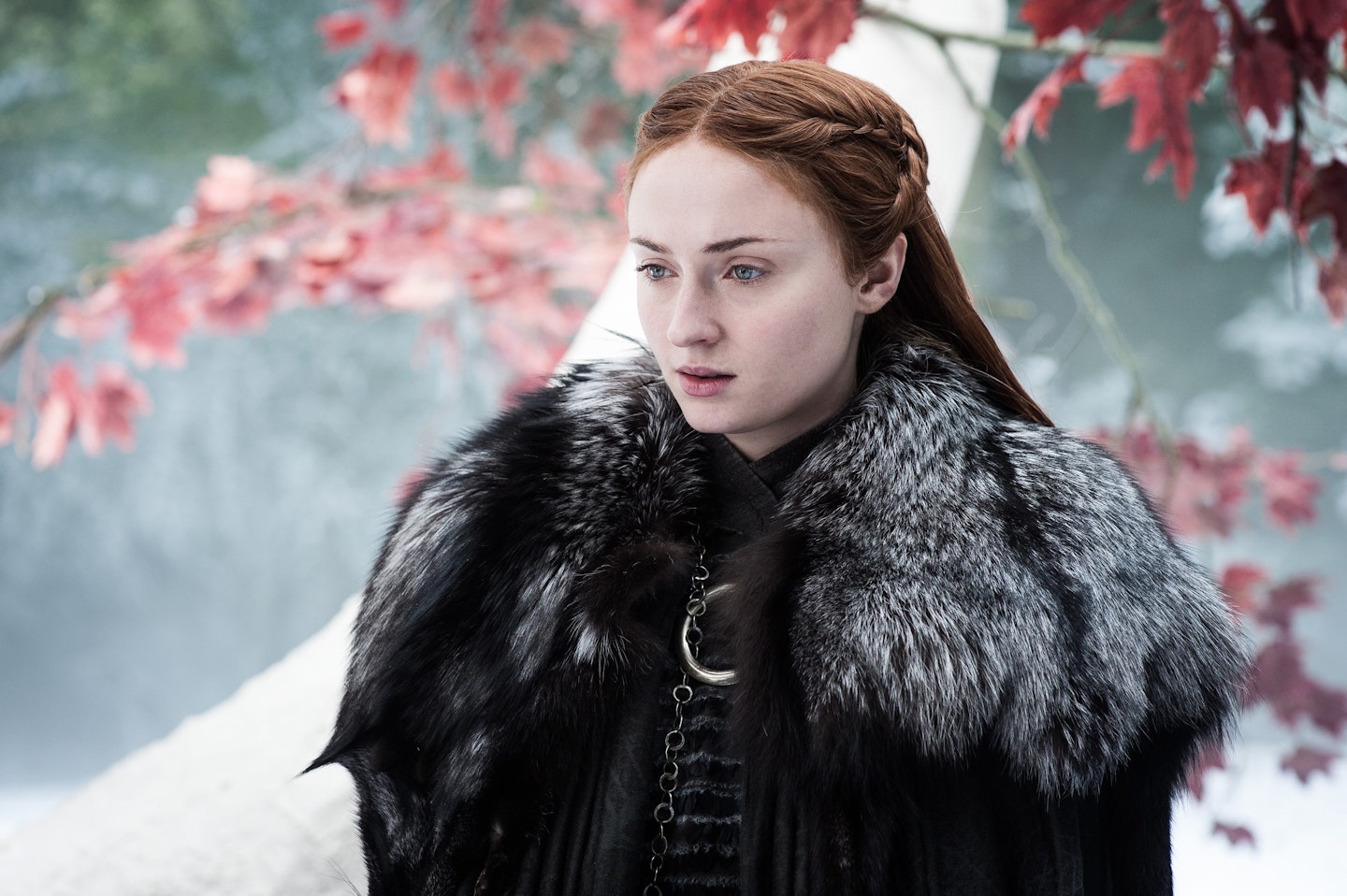 Sansa Stark in GOT The Spoils Of War