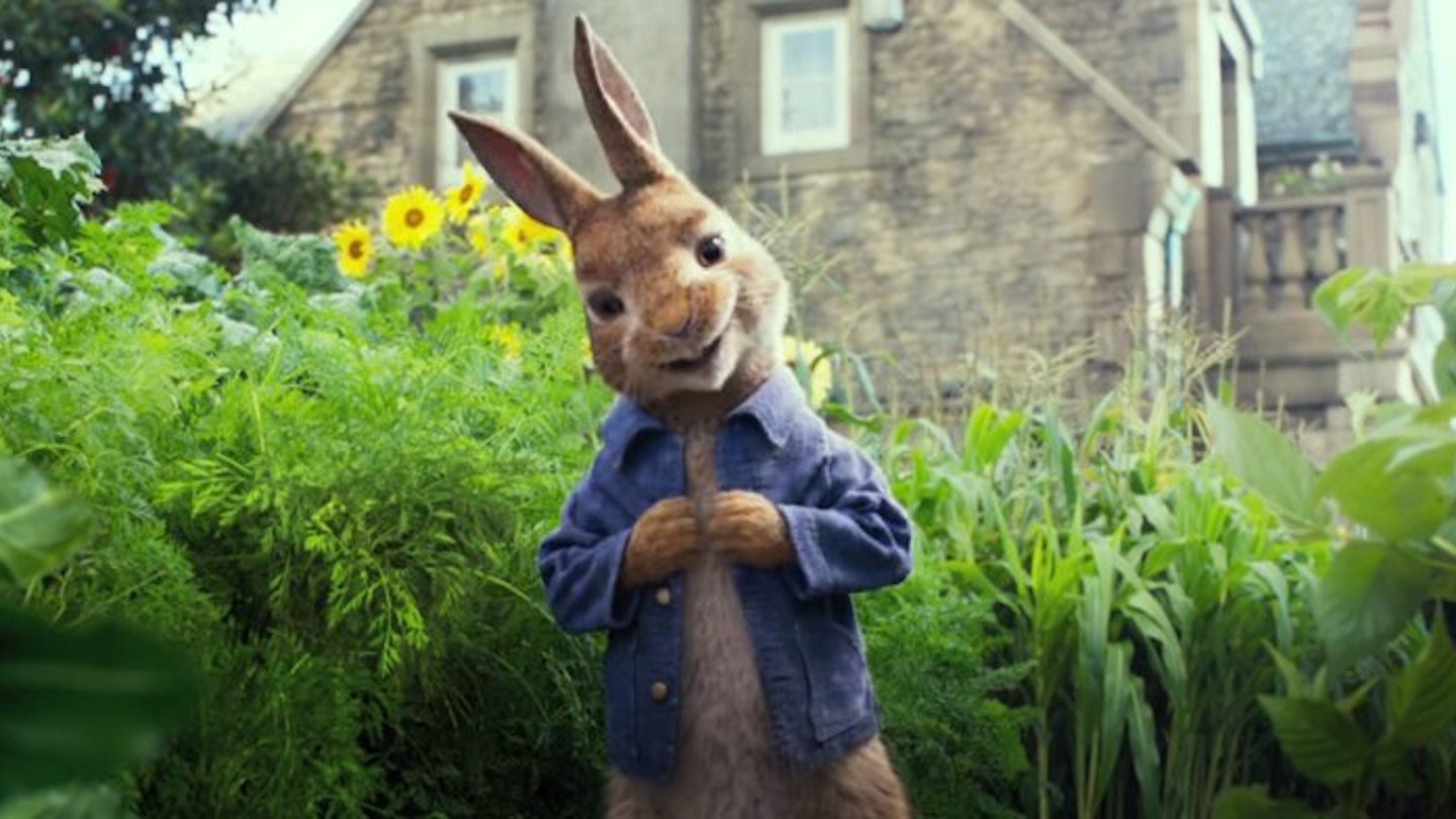 James Corden And More Go Wild In The Peter Rabbit Trailer | Movies ...
