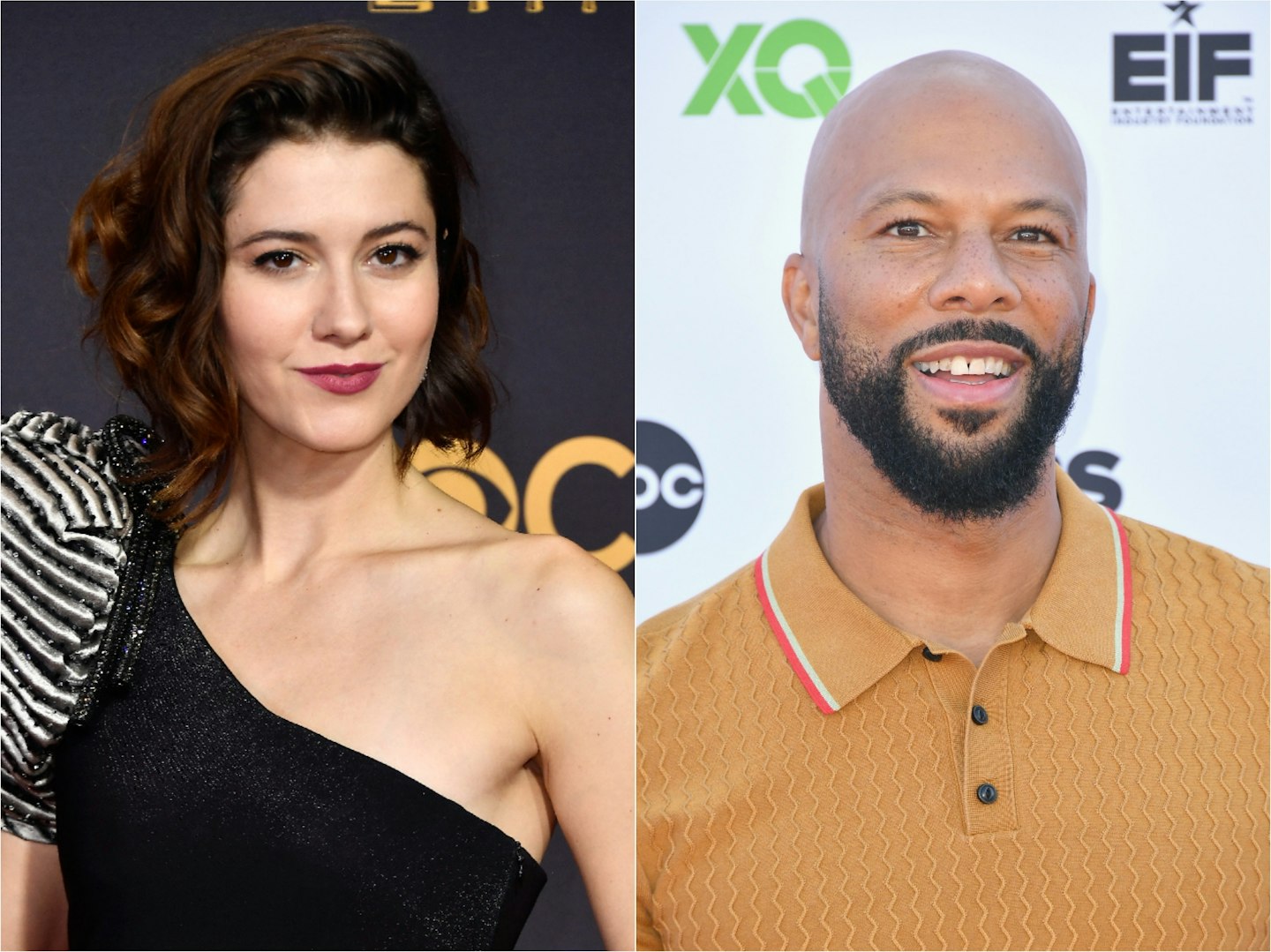Mary Elizabeth Winstead and Common