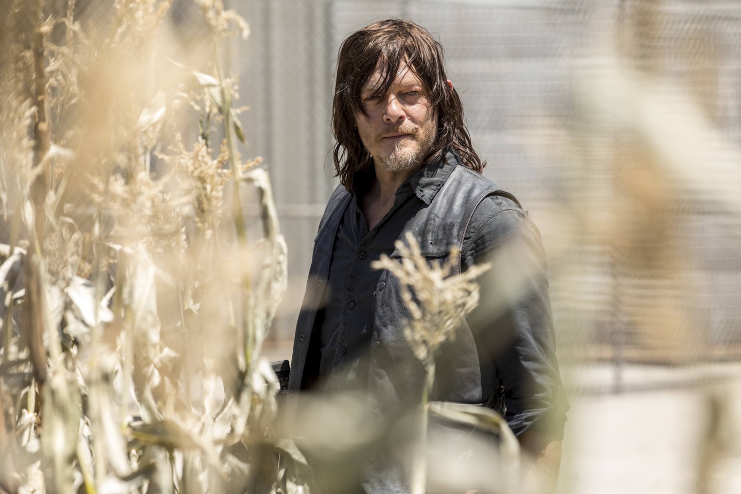 The Walking Dead Season 9 Daryl