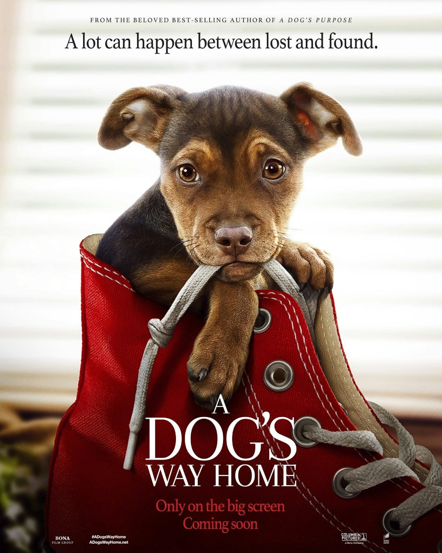 A Dog's Way Home poster