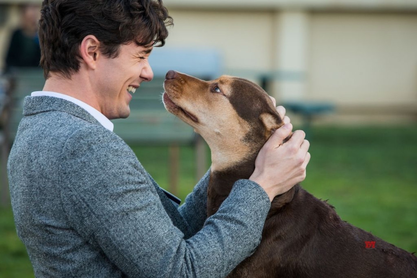 Is Puppy Love Based on a True Story? Puppy Love Plot, Cast, and Review -  News