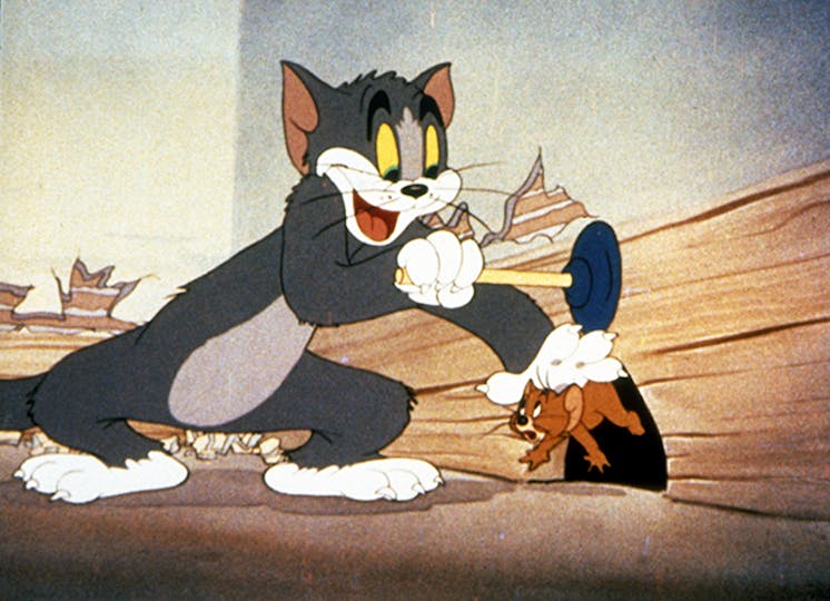 Tim Story Directing Tom And Jerry Movie | Movies | Empire